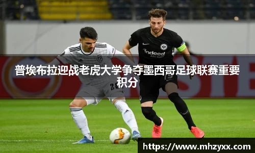 普埃布拉迎战老虎大学争夺墨西哥足球联赛重要积分